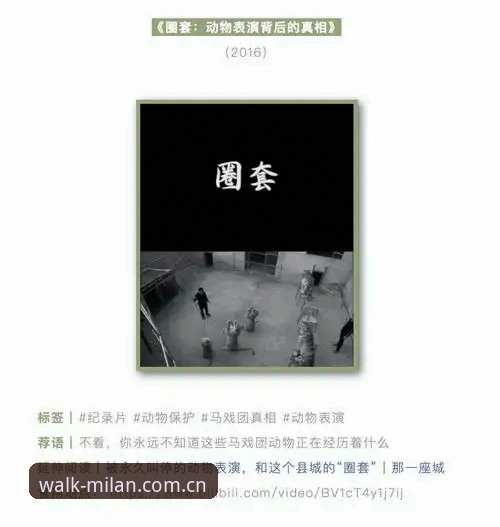 用一双鞋走过一座城CN旅行指南评测 用一双鞋走过一座城CN旅行指南评测操作教程——米兰体育官网版