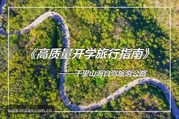 用一双鞋走过一座城CN旅行指南怎么样 用一双鞋走过一座城CN旅行指南怎么样:一场关于跑步与城市旅行的深度解析